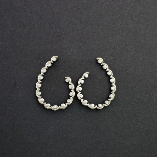 Lustrous Loop Earrings