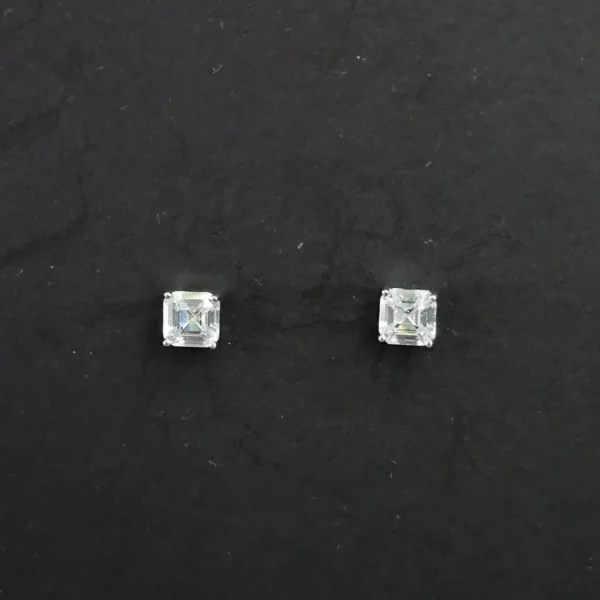 Titan Studs Earrings