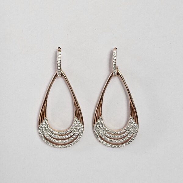 Elegant Loop Earrings
