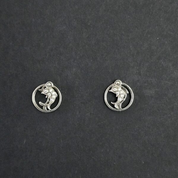 Aqua Fish Earrings